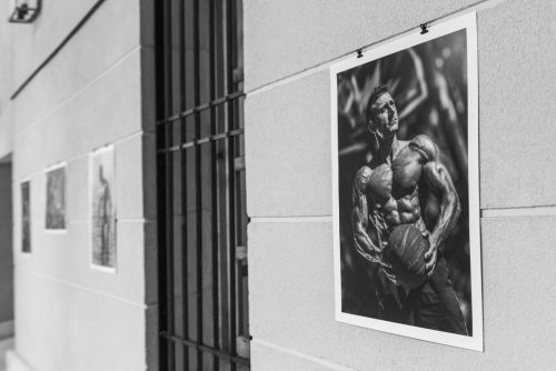 LightAndMuscle_Exhibition_003