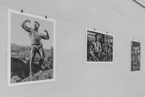 LightAndMuscle_Exhibition_006